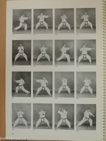 Kyokushinkai karate - Kata könyv