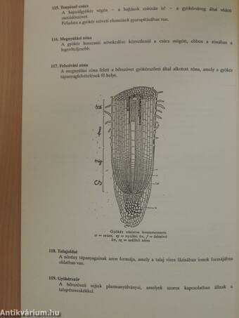 Biológiai fogalomgyűjtemény III.