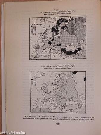 Helyünk Európában I-II.