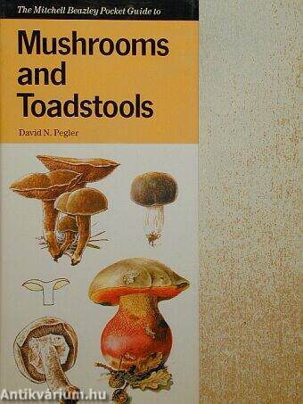 Mushrooms and Toadstools