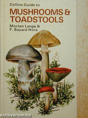 Mushrooms & Toadstools