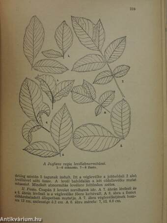 Az Agrártudományi Egyetem Kert-és Szőlőgazdaságtudományi Karának közleményei 1949.