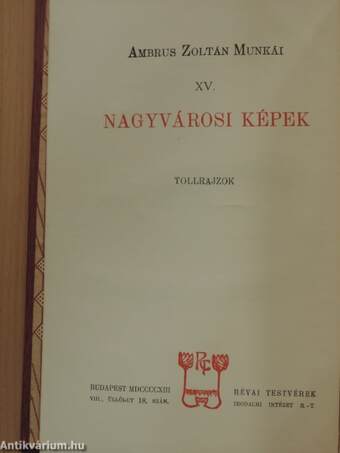 Nagyvárosi képek