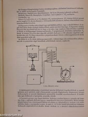 Alkalmazott bakteriológia és elméleti alapjai