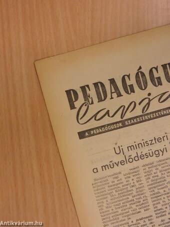 Pedagógusok Lapja 1965. (nem teljes évfolyam)