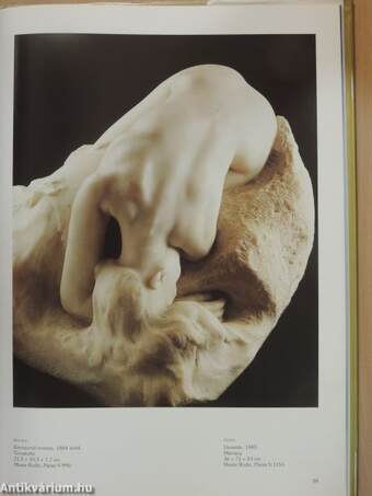 Rodin