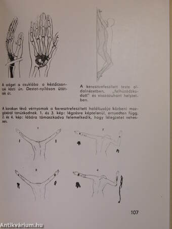 A torinói halotti lepel