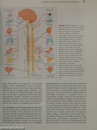 Abnormal Psychology