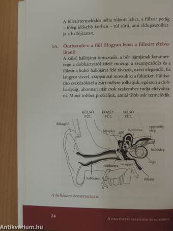 Tinnitus - az ördögi kör - CD-vel