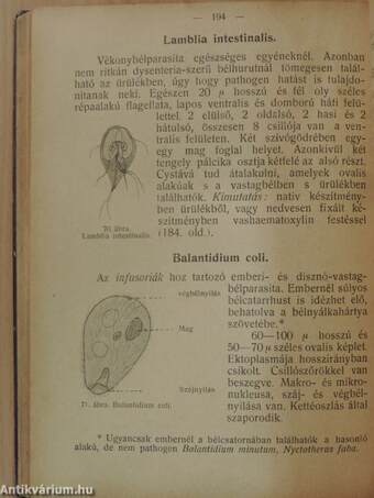 A gyakorlati bakteriologia zsebkönyve