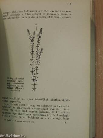 A szobai növények élete és gondozása