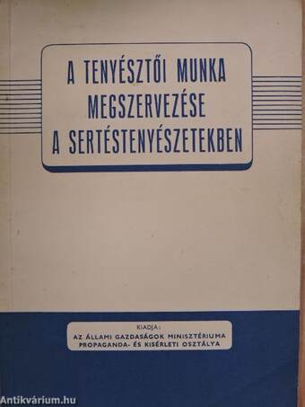 A tenyésztői munka megszervezése a sertéstenyészetekben