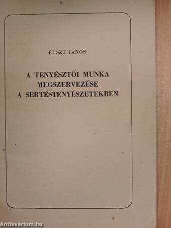 A tenyésztői munka megszervezése a sertéstenyészetekben