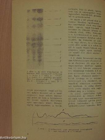 Méhészet 1967. szeptember