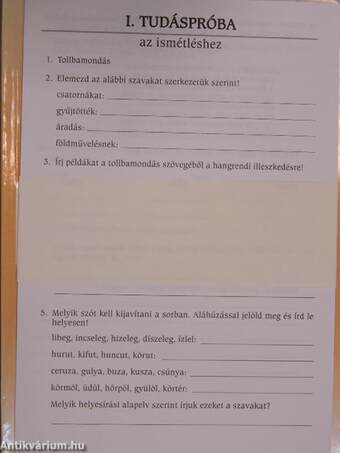 Anyanyelvi gondolkodó - Munkalapok és tudáspróbák hatodikosoknak