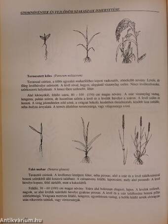 Gyomirtó és termésszabályozó szerek használata