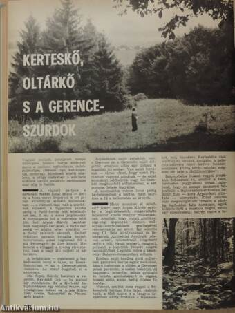 Turista Magazin 1977. (nem teljes évfolyam)