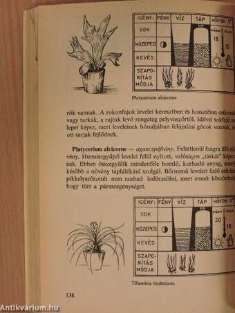 Válaszok szobanövény-kedvelők kérdéseire