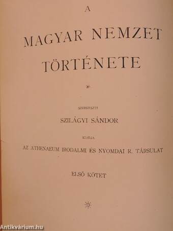 A magyar nemzet története I-X.