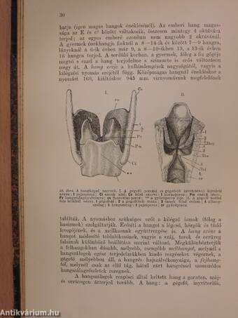 A gyermeki elme fejlődése és működése