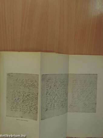 Széki Gróf Teleki József özvegye bethleni Bethlen Kata grófnő irásai és levelezése 1700-1759 I.