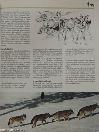 Az állatvilág enciklopédiája 1-12.
