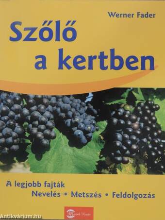 Szőlő a kertben