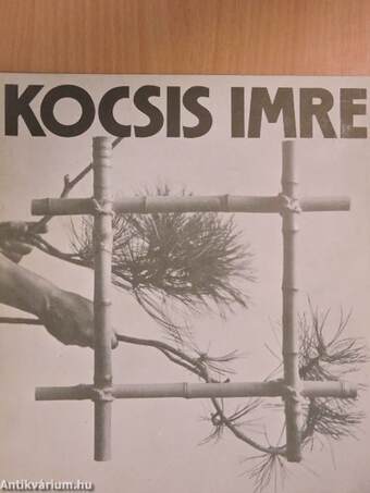 Kocsis Imre