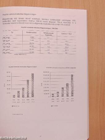 Az információs és kommunikációs technológiai szektor Magyarországon 1995-1999