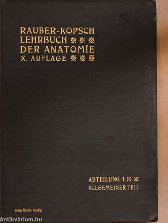 Rauber's Lehrbuch der Anatomie des Menschen Abteilung 1. (töredék)