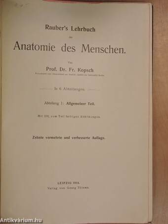 Rauber's Lehrbuch der Anatomie des Menschen Abteilung 1. (töredék)