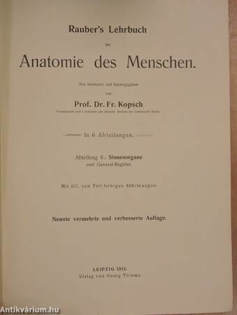 Rauber's Lehrbuch der Anatomie des Menschen Abteilung 6. (töredék)