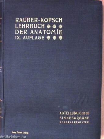 Rauber's Lehrbuch der Anatomie des Menschen Abteilung 6. (töredék)