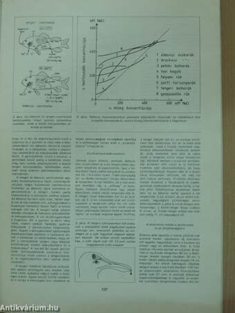 Természet Világa 1985. március