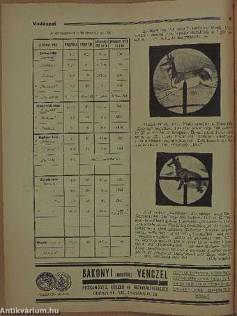 Vadászat 1935. június 8.