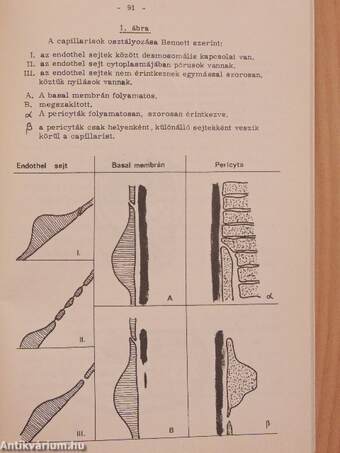 Újabb eredmények a szemészetben 1971/1.