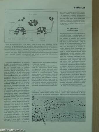 Természet Világa 1986. február