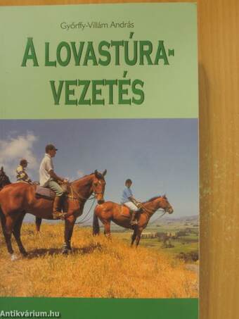 A lovastúra-vezetés