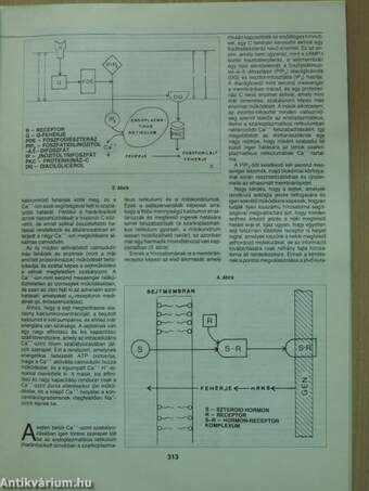 Természet Világa 1990. július