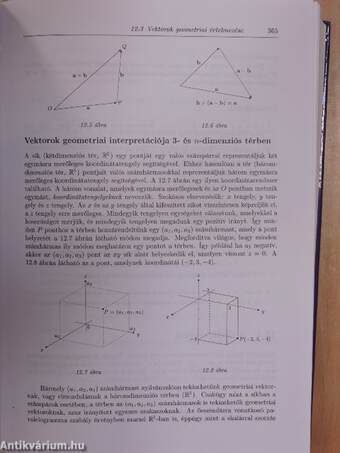 Matematika közgazdászoknak