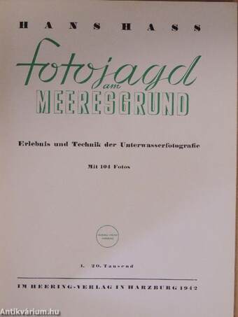 Fotojagd am Meeresgrund