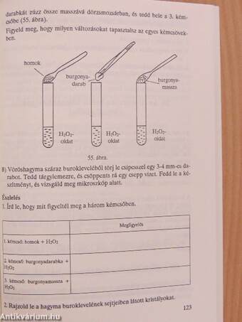 Beszélgessünk a természettel!