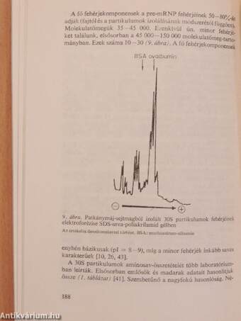 A biológia aktuális problémái 27.