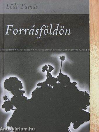 Forrásföldön