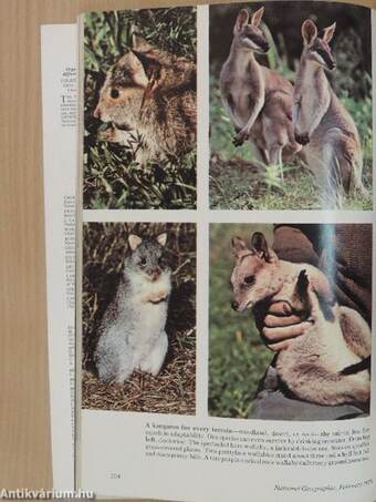 National Geographic February 1979