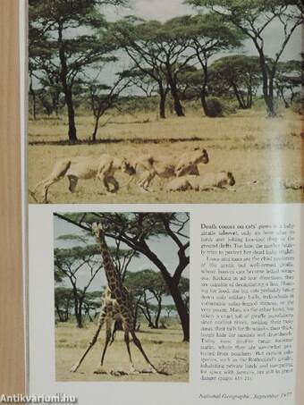 National Geographic September 1977