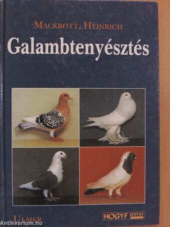 Galambtenyésztés