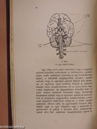 Pedagógiai jegyzetek