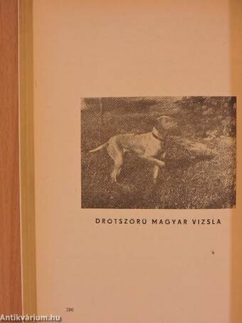 Jubiláris Nemzetközi CACIB és DERBY kutyakiállítás 1899-1974