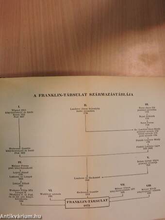 Egy magyar könyvkiadó regénye/A magyar irodalom száz esztendejéből